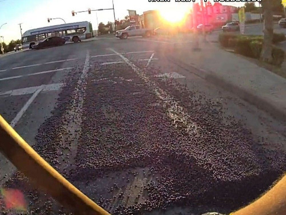 Blueberry spill causes traffic 'jam' in Mission