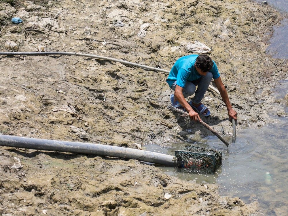 A man sets up a hose to source water from a pool on the dried-up al-Majriya river bed near the main road linking the Babil and Qadisiyah governorates in central Iraq's Hilla city on July 25, 2025. Hundreds protested severe water shortages exacerbated by the summer's sweltering heat in the central province of Babylon, an AFP correspondent said, as Iraq, and its 46 million inhabitants, have been intensely impacted by the effects of climate change, experiencing rising temperatures, year-on-year droughts and reduced river flows. (Photo by Karrar Jabbar / AFP) A man sets up a hose to source water from a pool on the dried-up al-Majriya river bed near the main road linking the Babil and Qadisiyah governorates in central Iraq's Hilla city on July 25, 2025. Hundreds protested severe water shortages exacerbated by the summer's sweltering heat in the central province of Babylon, an AFP correspondent said, as Iraq, and its 46 million inhabitants, have been intensely impacted by the effects of climate change, experiencing rising temperatures, year-on-year droughts and reduced river flows. (Photo by Karrar Jabbar / AFP)