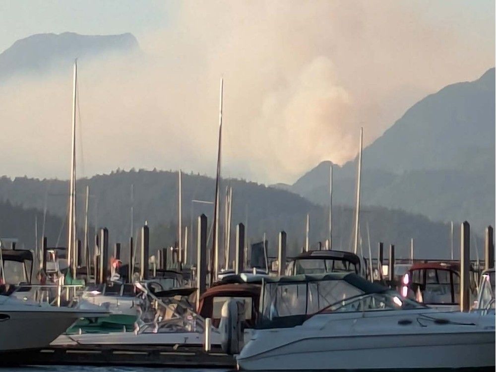 The Bear Creek wildfire, east of Harrison Lake, is now considered a wildfire of note.