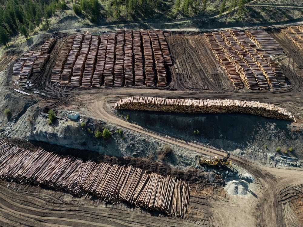 NDP government gives brush off to forestry industry's pragmatic, made-in-B.C. solutions
