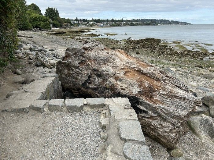 Handout photo of the damage done by a log to the seawall at Trafalgar Beach in Vancouver Handout photo of the damage done by a log to the seawall at Trafalgar Beach in Vancouver