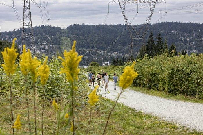 people hike the coquitlam crunch, a steep urban climb on eagle ridge in coquitlam, bc, saturday, july 19, 2025.