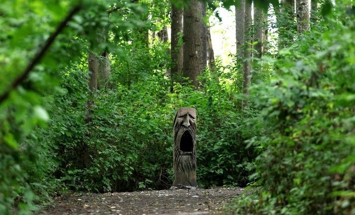  arious sculptures, signs and art along the ladner march trails in delta b.c., july 18, 2025.