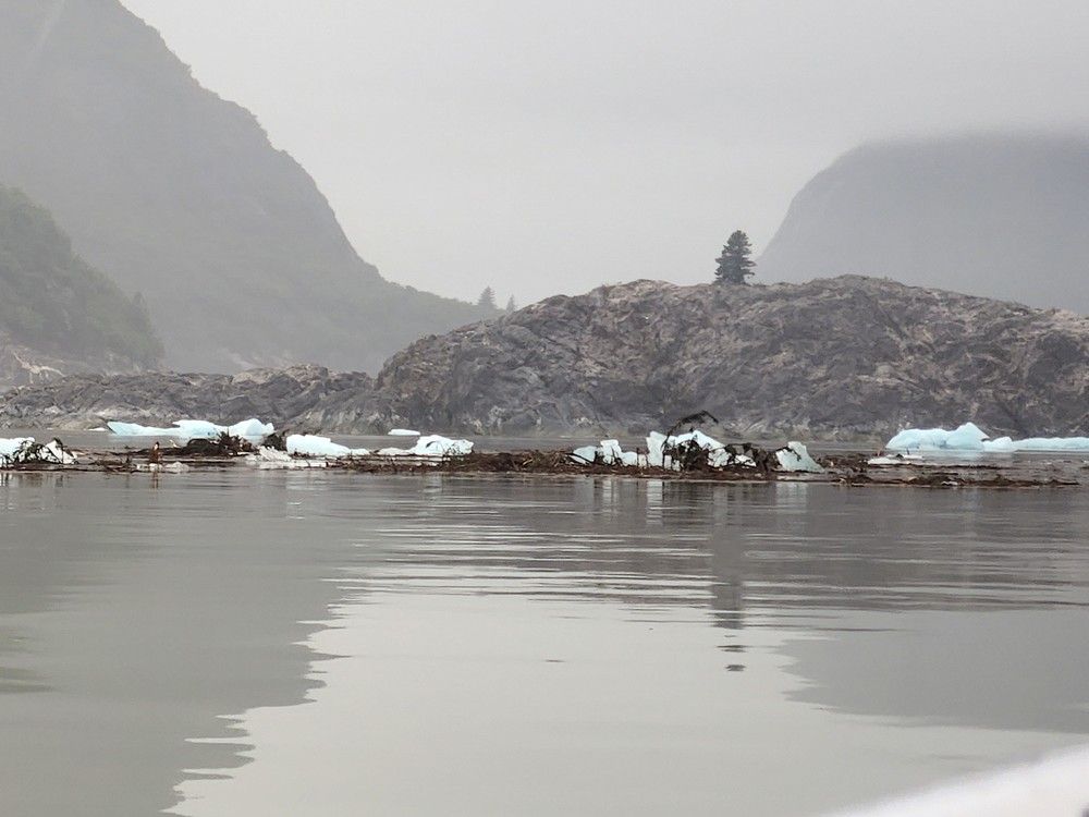 Bits of the glacier and uprooted trees float in the waters of the Alaska Panhandle kilometres from where a massive landslide triggered a tsunami on Sunday, Aug 10, 2025. Photo: Nick Heilgeist Bits of the glacier and uprooted trees float in the waters of the Alaska Panhandle kilometres from where a massive landslide triggered a tsunami on Sunday, Aug 10, 2025. Photo: Nick Heilgeist