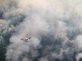 Evacuation orders lifted as Wesley Ridge fire declared under control ...