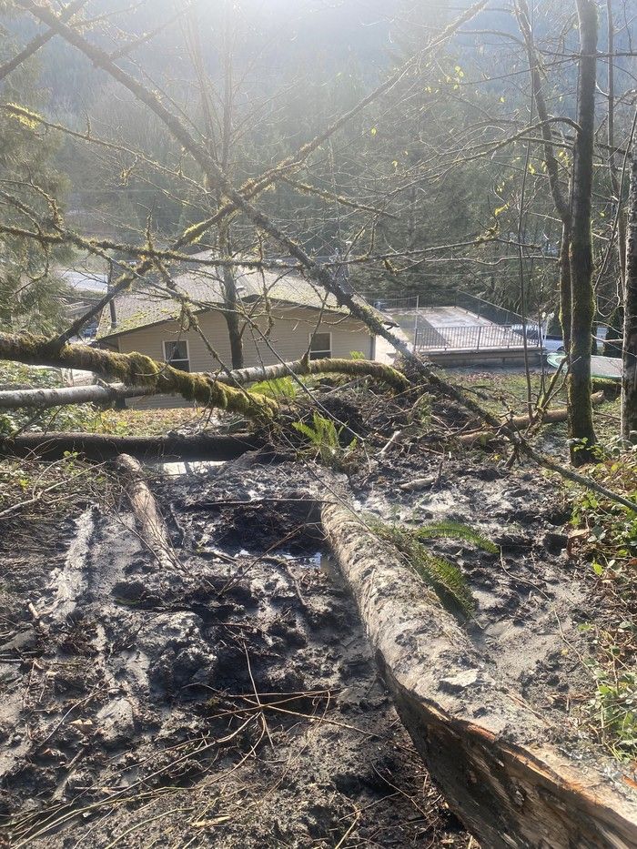  Landslide debris above Chris Rampersad’s house on Chilliwack Lake Road.