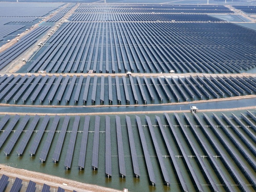 B.C. climate news: Solar project in B.C. Hydro's call for power kicks off environmental review | New calf arrives for B.C.'s endangered southern resident killer whales