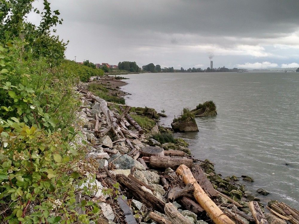 The site of the Cowichan, or Hul’qumi’num, seasonal village known as Tl’uqtinus in southeast Richmond on the south arm of the Fraser River. Other than the immediate shoreline and Richmond's dike, the area just inland is mostly used for industrial purposes today. 