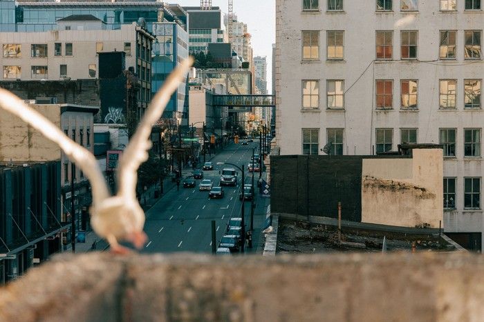  Photographer Ian Kobylanski says, “I find getting angles that no one else gets is really exciting.”