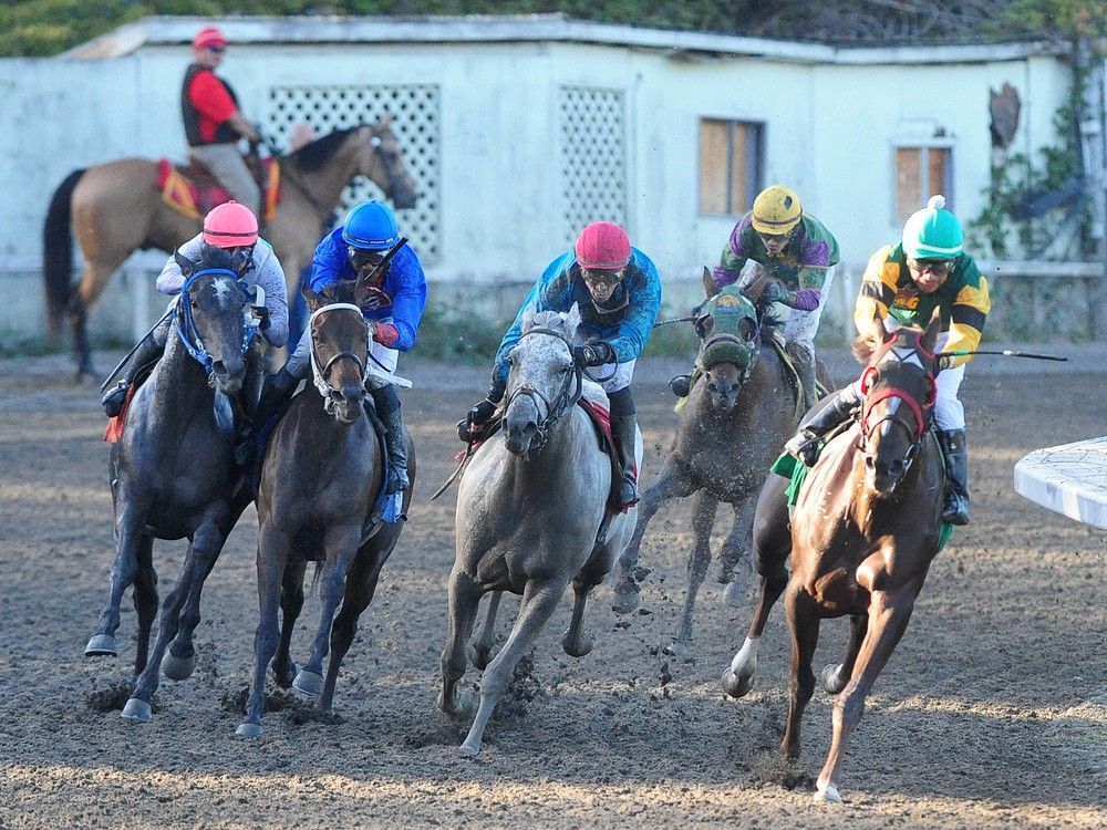 People in B.C.'s horse racing industry left to fend for themselves | Vancouver Sun