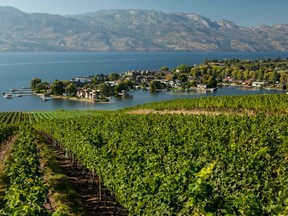 quails gate wine bc