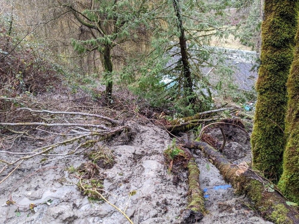 Landslide debris above Erv Warkentin's property on Chiliwack Lake Road.