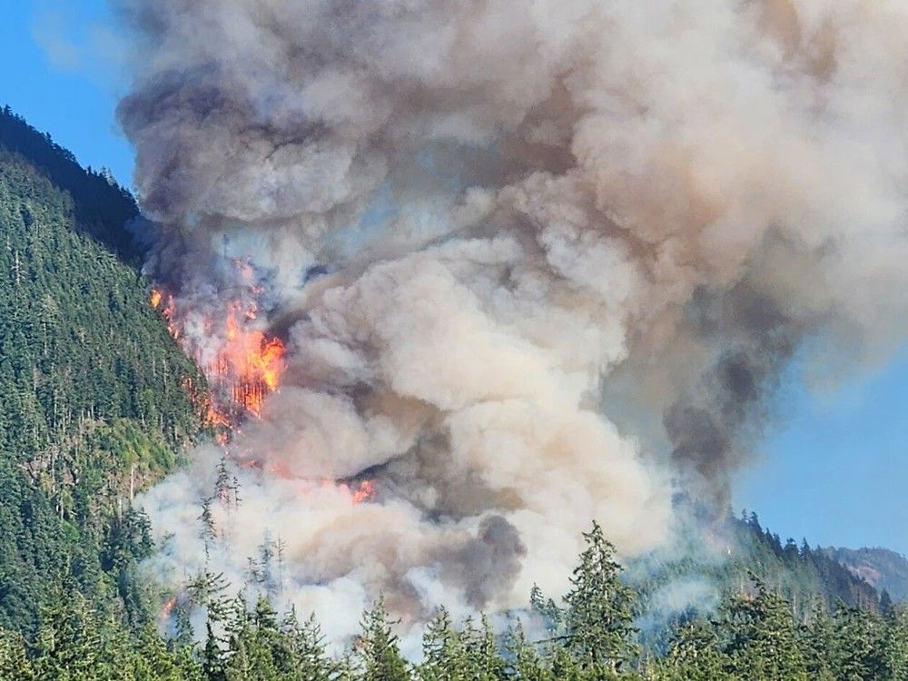 B.C. climate news: Vancouver Island wildfire grows by more than half, but rain helping | Wildfire in Newfoundland destroys up to 100 homes | Failed plastics negotiations in Geneva leaves few options