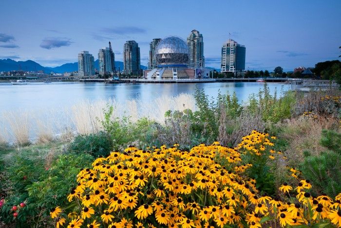  Photographer Richard Wong loves “anything with the water,” including areas around False Creek.