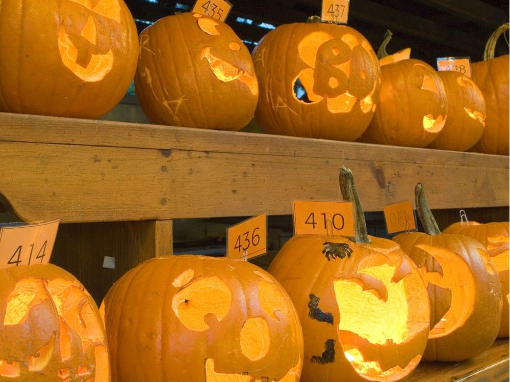 A pumpkin carving contest at Capilano Suspension Bridge. A pumpkin carving contest at Capilano Suspension Bridge.