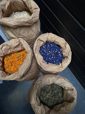 Photos from the Yves Rocher laboratory in La Gacilly, France.