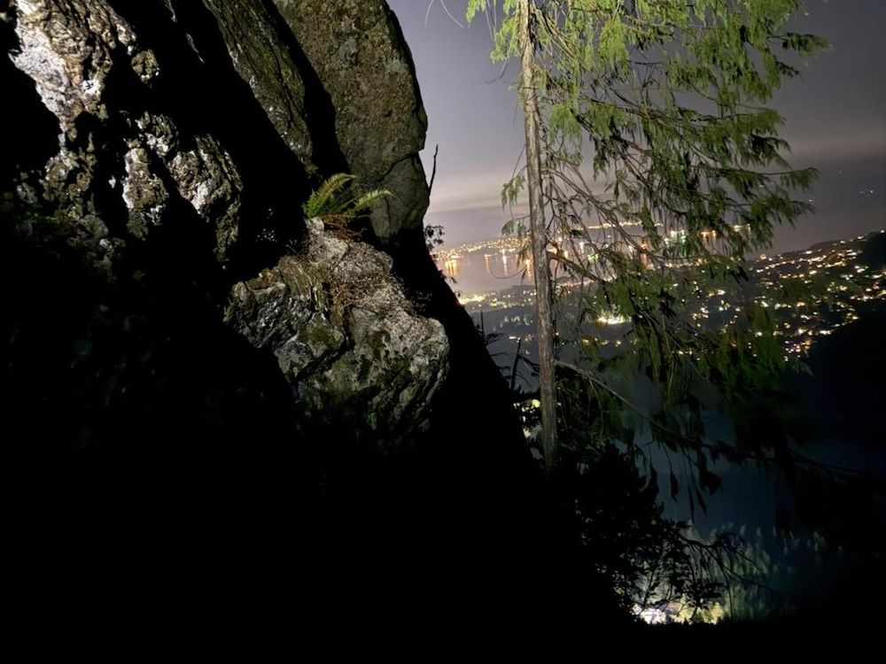 L'arbre où Gerald Yang était coincé après être tombé d'un sentier sur Grouse Mountain mardi. 