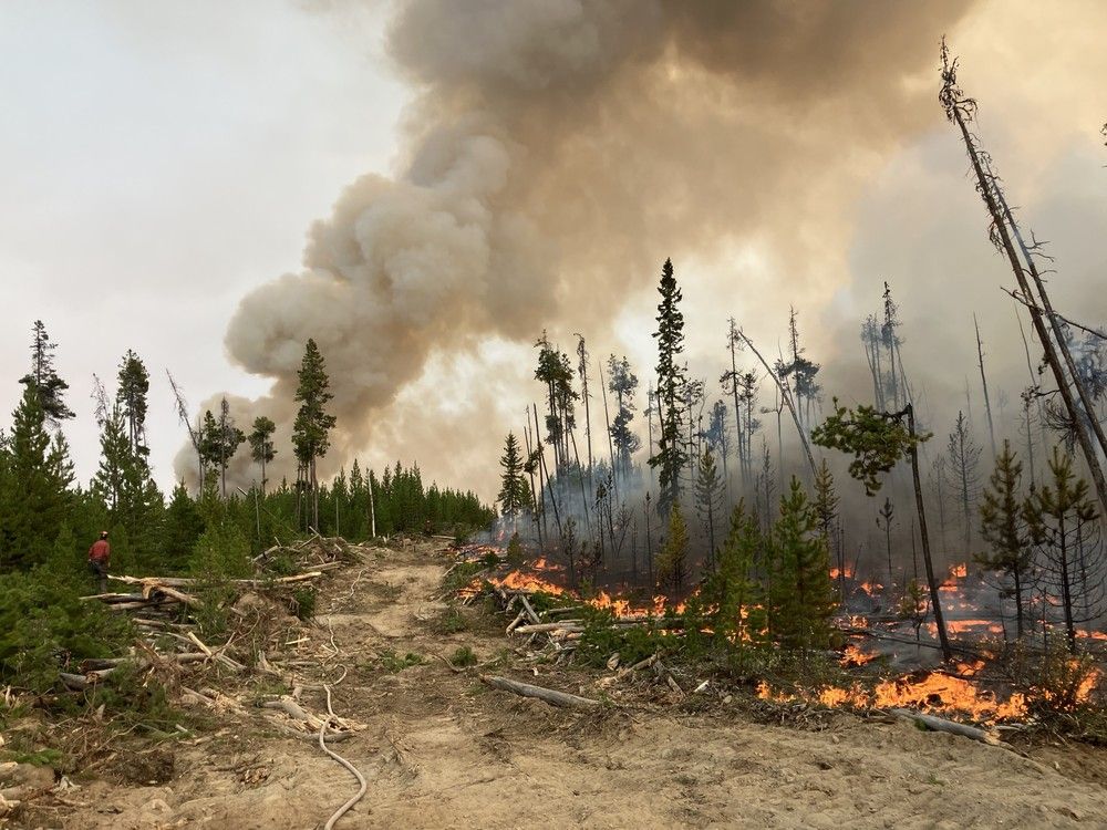 Photo of the Beef Trail Creek wildfire burning in the B.C. Cariboo taken on Sept. 4, 2025. Photo of the Beef Trail Creek wildfire burning in the B.C. Cariboo taken on Sept. 4, 2025.