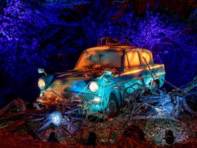 Harry Potter: A Forbidden Forest Experience will make its Canadian debut on Nov. 7, 2025 in Vancouver’s Stanley Park.