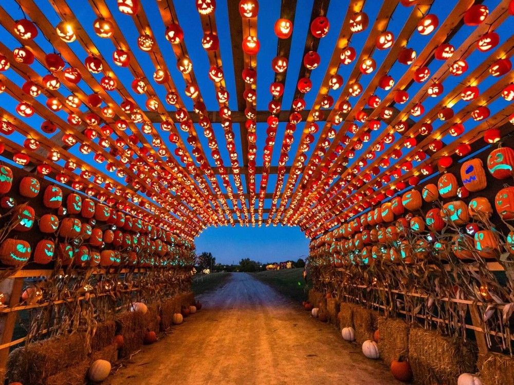 File photo of Pumpkins After Dark, a Halloween attraction in Burnaby. File photo of Pumpkins After Dark, a Halloween attraction in Burnaby.