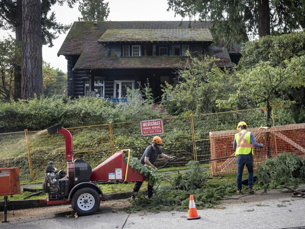 A crew from Treecycle Environmental removes trees from a property at 4686 West 2nd Ave. in Vancouver on Oct. 3. The 113-year-old house is being moved. A crew from Treecycle Environmental removes trees from a property at 4686 West 2nd Ave. in Vancouver on Oct. 3. The 113-year-old house is being moved.