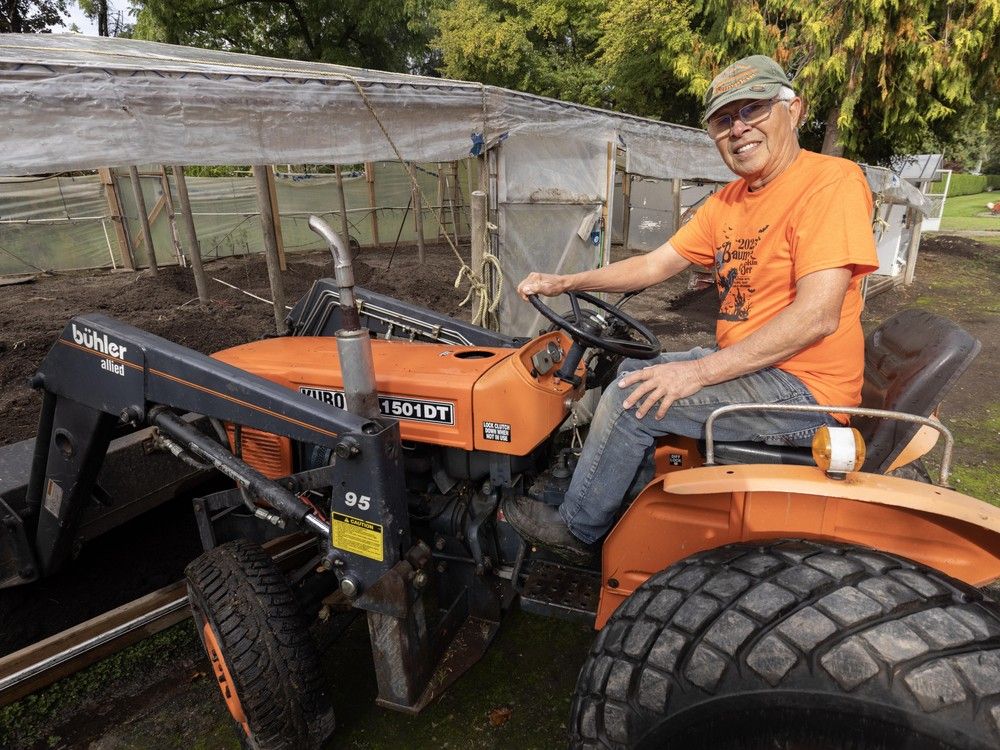 David Chan onboard his vintage 1975 Kubota tractor beside his giant-pumpkin-growing greenhouse in Richmond on Oct. 9. David Chan onboard his vintage 1975 Kubota tractor beside his giant-pumpkin-growing greenhouse in Richmond on Oct. 9.