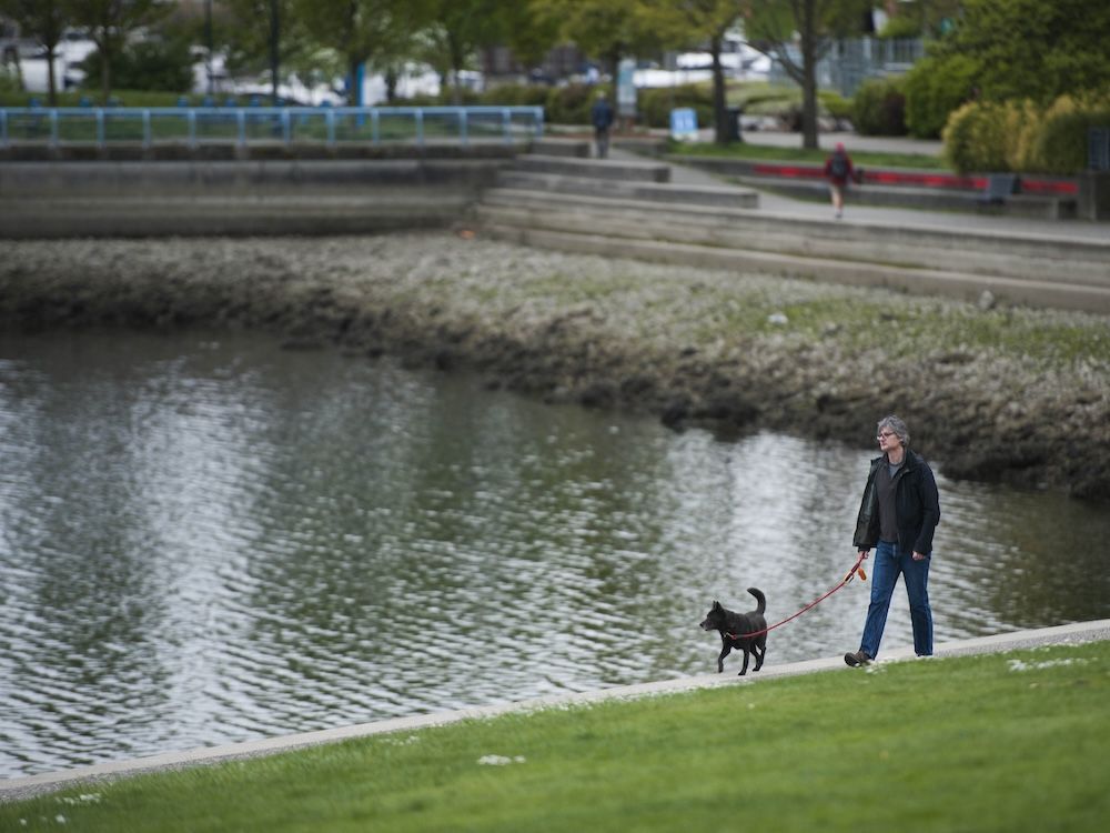 Police say three people were stabbed on the seawall near David Lam Park in Yaletown in attacks they have labeled as random and unprovoked. Police say three people were stabbed on the seawall near David Lam Park in Yaletown in attacks they have labeled as random and unprovoked.