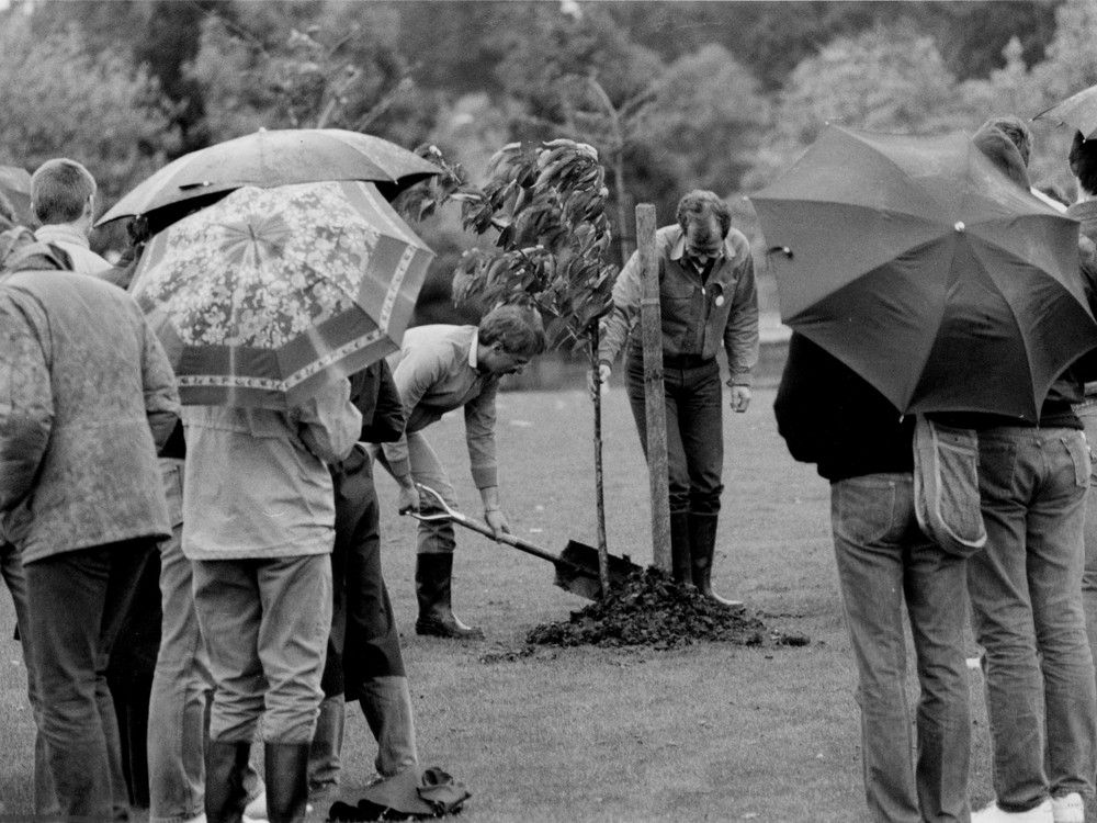 vancouver aids memorial