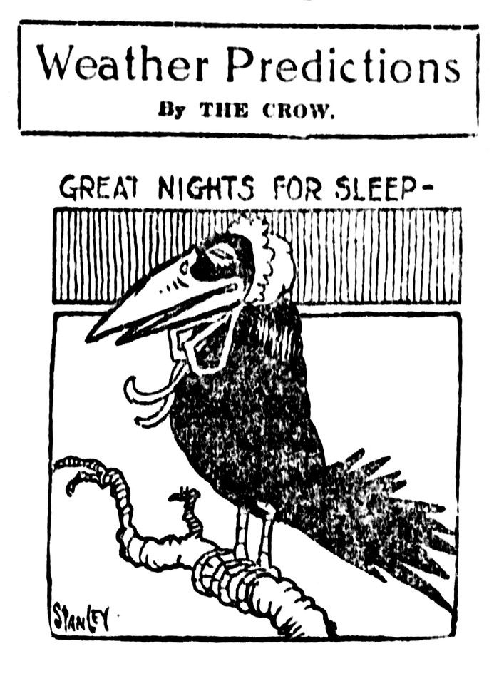 Here the Cow predicts “Great nights for sleep.” This could mean it was going to be a dreary day. Here the Cow predicts “Great nights for sleep.” This could mean it was going to be a dreary day.