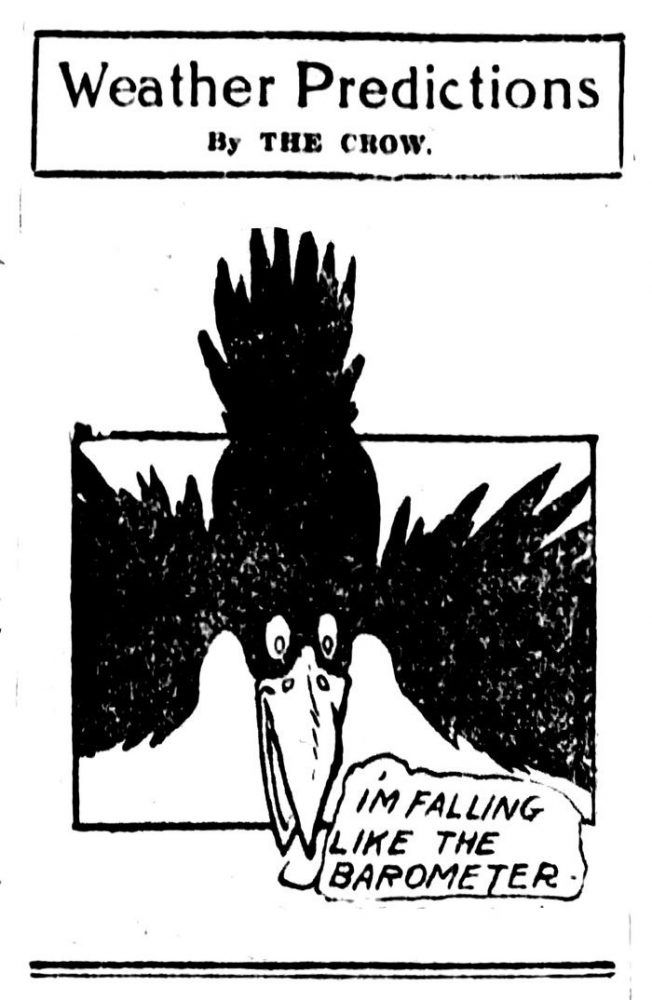 In 1907 the Vancouver Daily Province had a daily feature called “Weather Predictions by The Crow.” This one reads like a joke: the crow says “I’m falling like the barometer.” Ran Sept. 18, 1907. In 1907 the Vancouver Daily Province had a daily feature called “Weather Predictions by The Crow.” This one reads like a joke: the crow says “I’m falling like the barometer.” Ran Sept. 18, 1907.