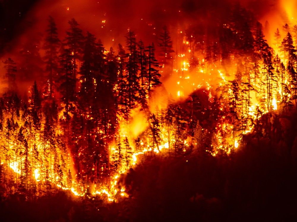 File photo: A wildfire burns on Mount Underwood near Port Alberni, on Vancouver Island, B.C., on Aug. 12, 2025. (Photo by Colby Rex O'Neill / AFP)