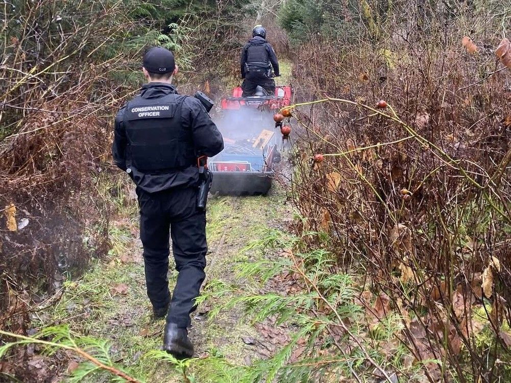  Conservations officers continue to search for three grizzly bears in Bella Coola after last week’s attack on a school group that left four people seriously injured. Photo from the B.C. Conservation Officer Service’s Facebook post on Nov. 23, 2025.