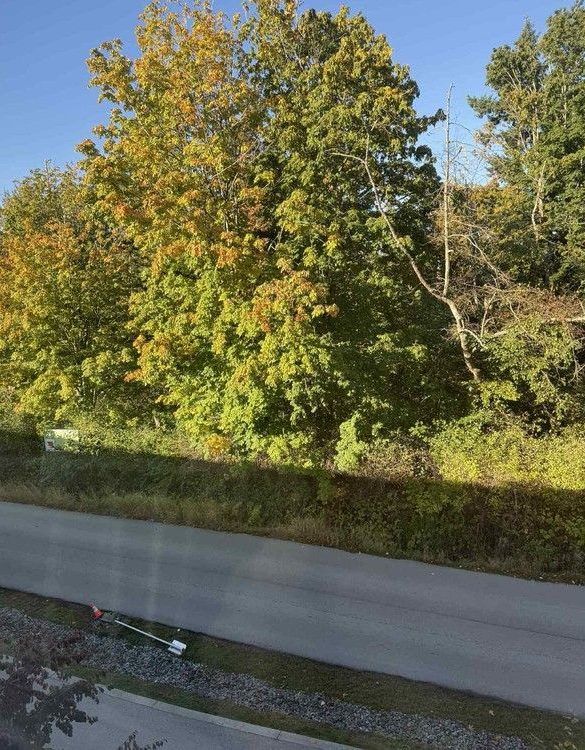  The lot where Costco proposes to build its next store in Surrey. The proposal is up for a public hearing on Monday at city hall. Tiffany Bullinger photo