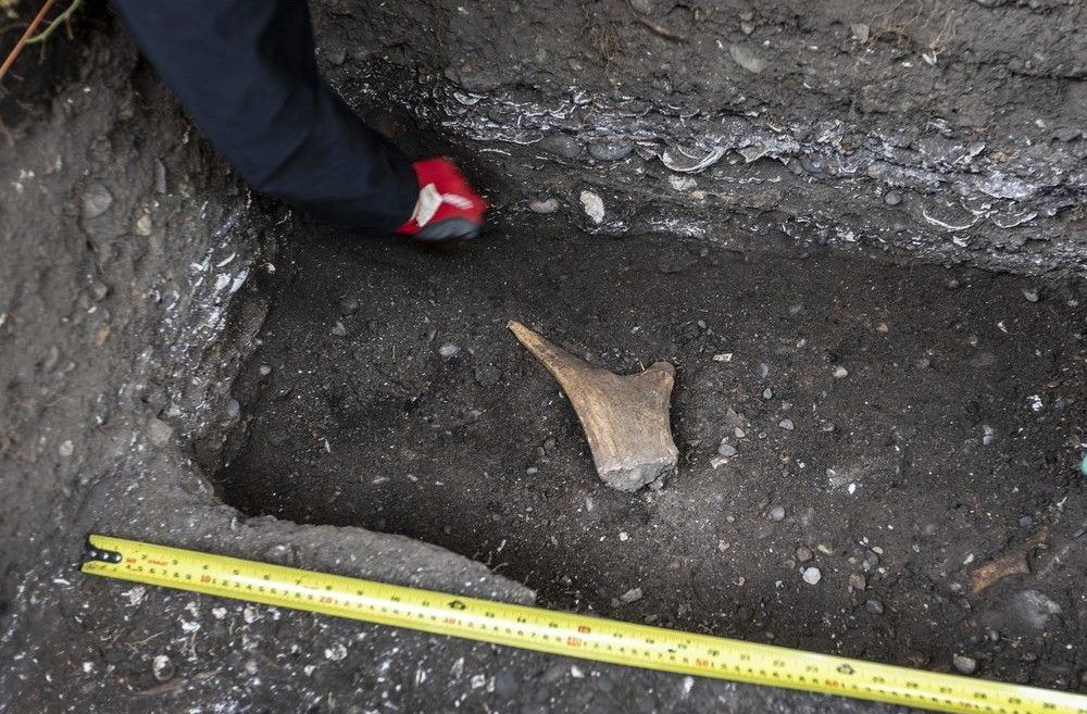 Vaughn Palmer: After granting an extra six weeks for municipal feedback, Premier David Eby seems to be ready to forge ahead with changes