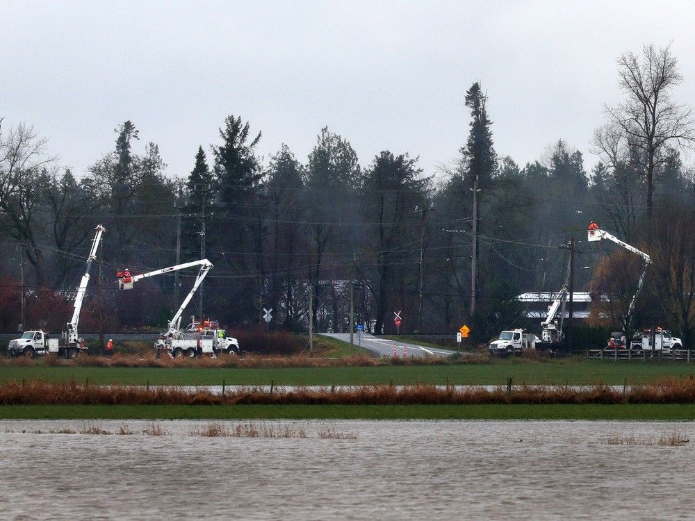 'We don't need to live this way': Fraser Valley farmer pleads for federal government support after flooding
