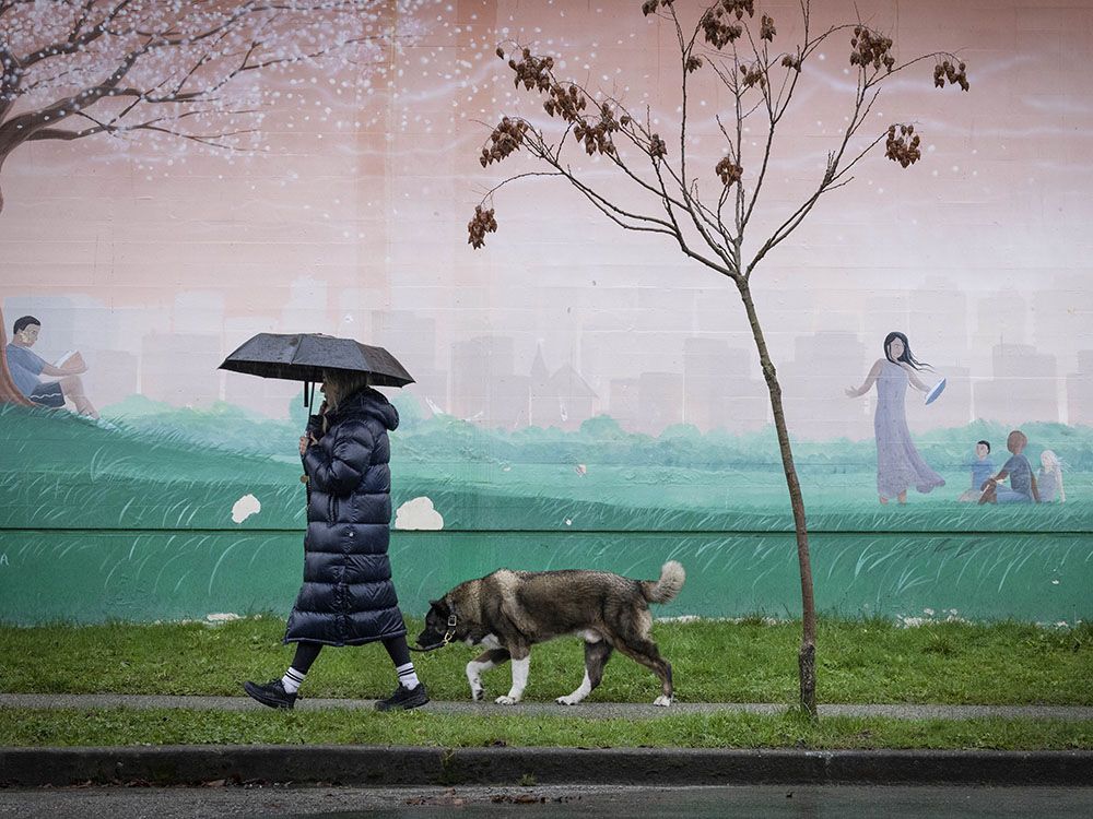  It was time for umbrellas as people were met by heavy rainfall Wednesday as an atmospheric river moved through the region bringing massive amounts of precipitation.