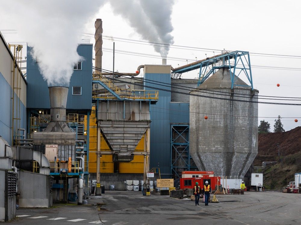 Hundreds of Vancouver Island mill workers lose jobs ahead of Christmas