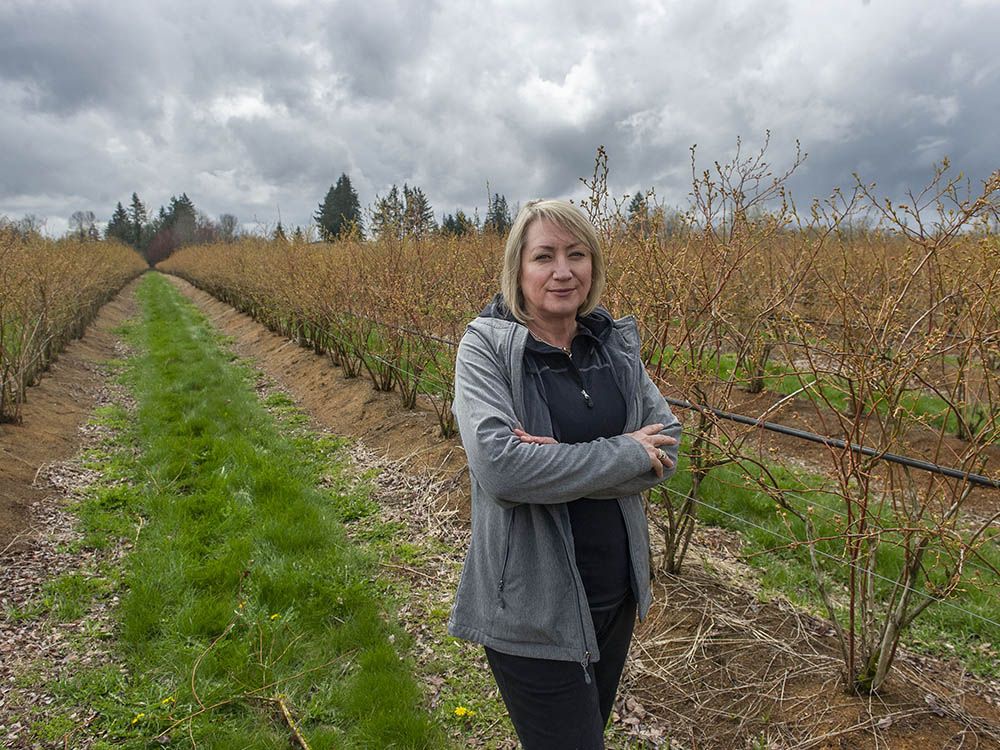Iconic Driediger Farms property in Langley sells for over $23 million