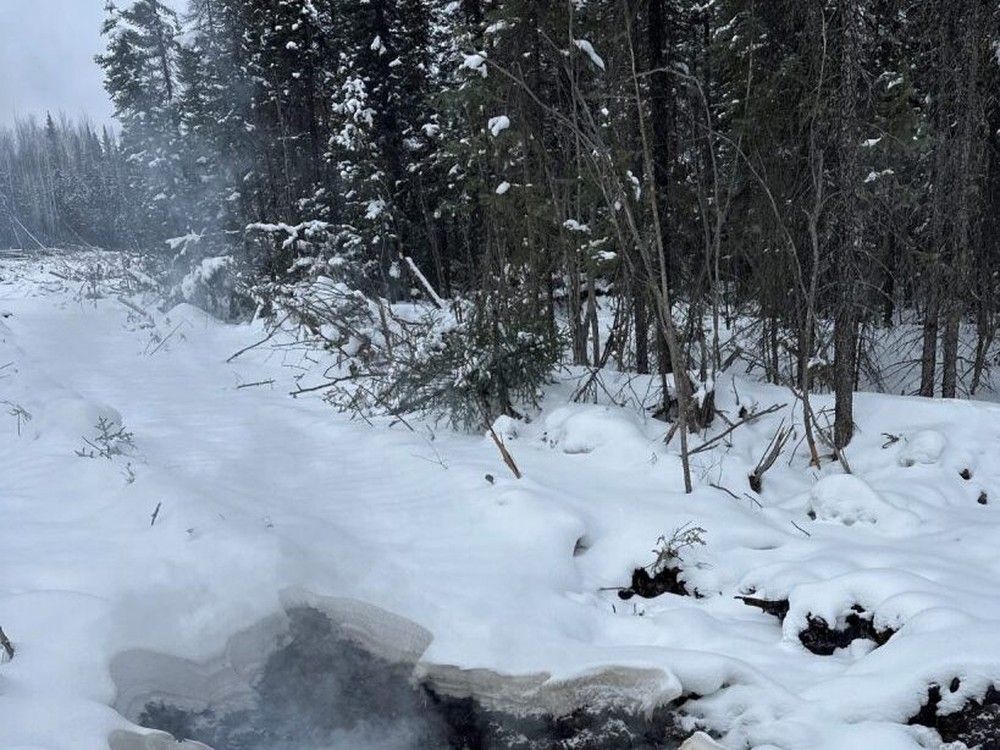 B.C. climate update: Province's zombie wildfires still burning underground | Roberts Bank not an easier option for Alberta's pipeline, say conservationists | Trump deals climate blow by exiting crucial UN bodies