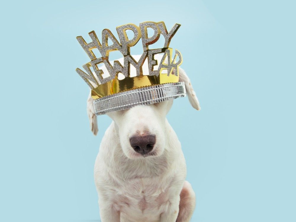 what's open new years day metro vancouver