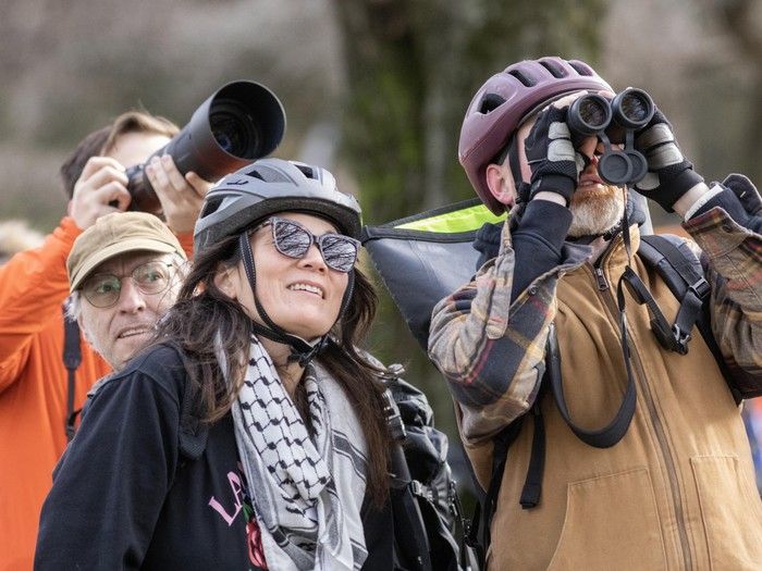 The rare Taiga Flycatcher has been spotted for the first time in Canada.