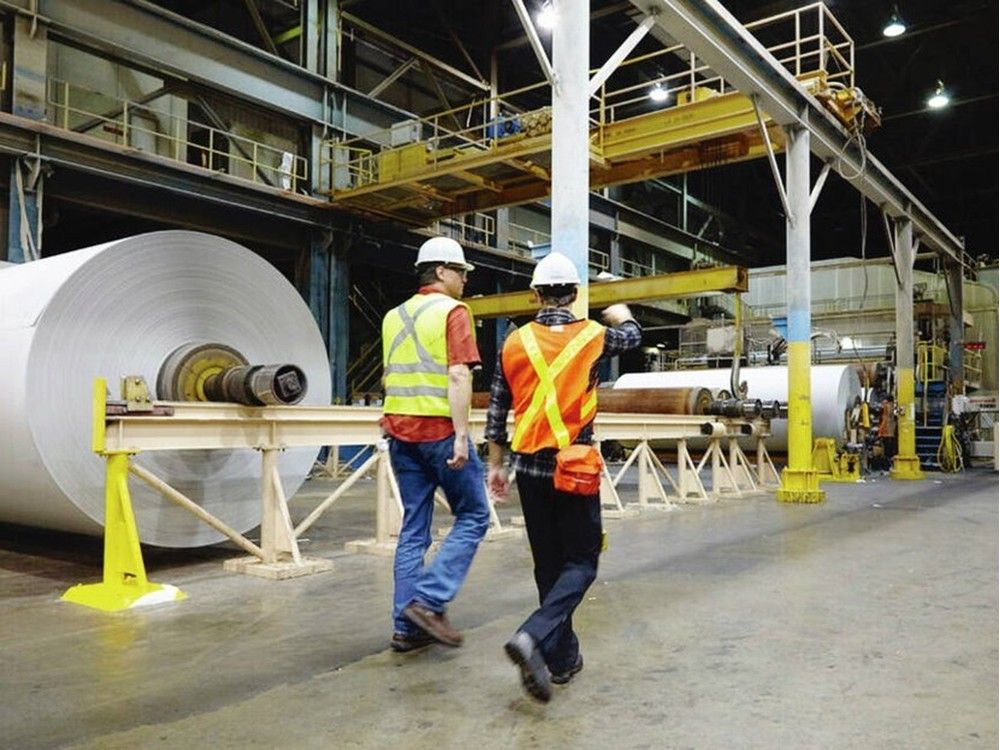  Crofton’s pulp and paper mill is closing at the end of 2025, putting 350 people out of work.
