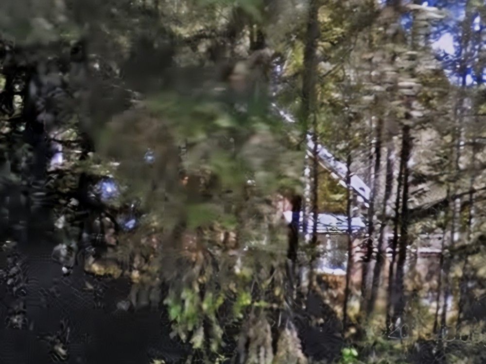 Alicia Valerie Davenport, and her former spouse, Geordie Lee, have denied the province's allegations, which haven't been proven in court.