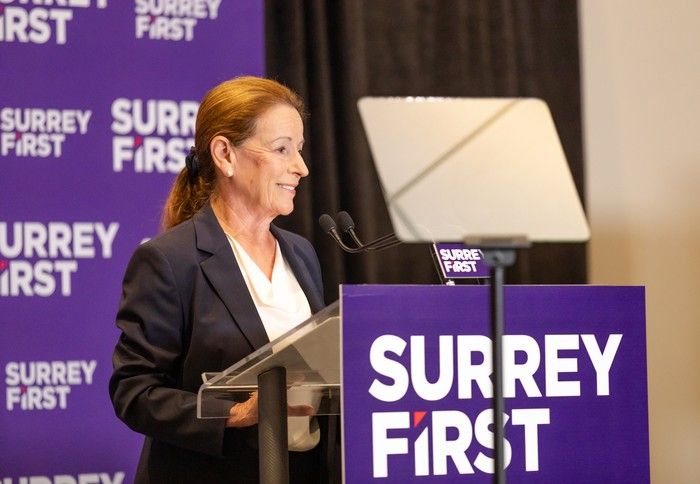  Coun. Linda Annis, who is running for mayor in the upcoming election, wants to expand police access to traffic cameras.