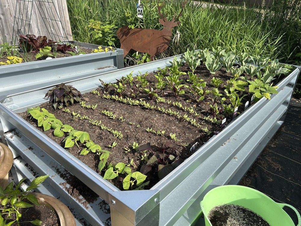 Spring gardening 101 at the BC Home + Garden Show