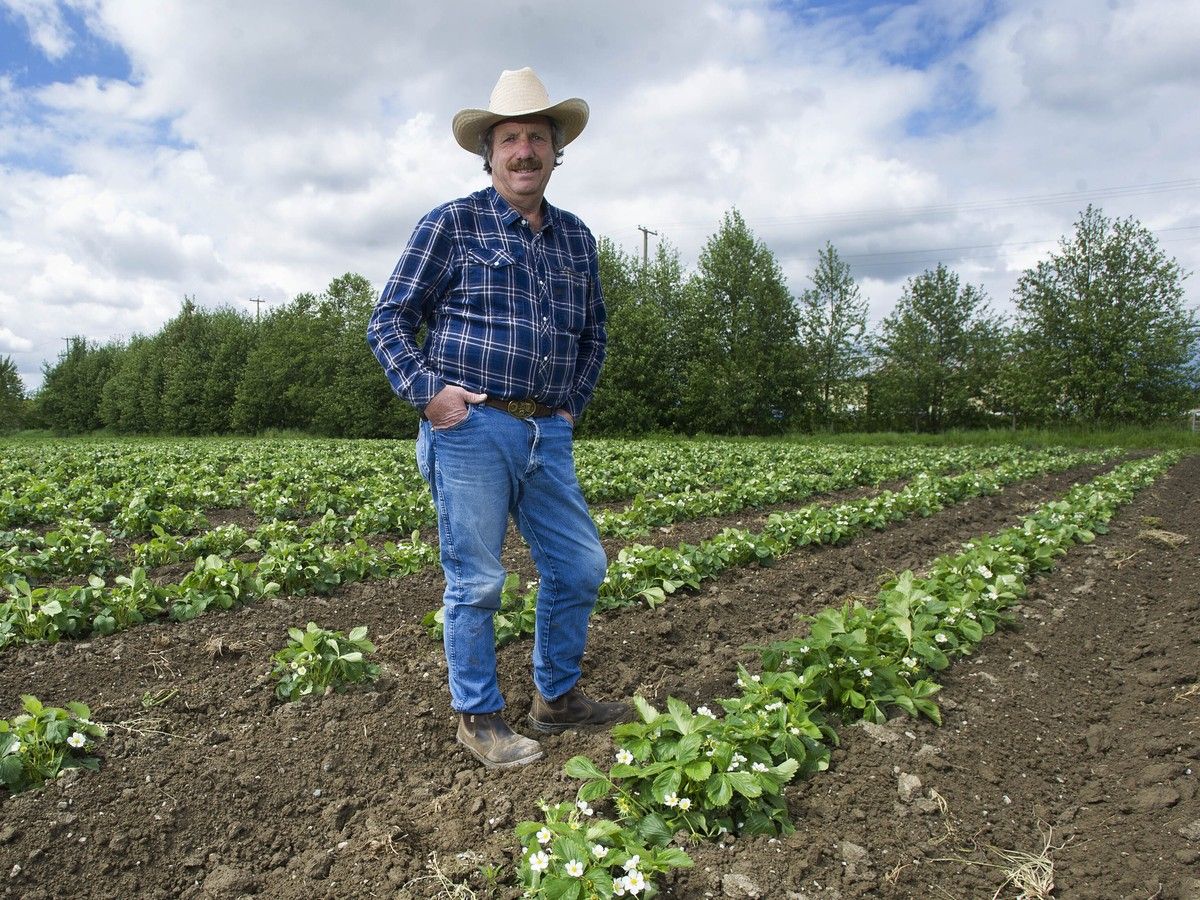 Farmers, farms and farmland decreasing in Metro Vancouver
