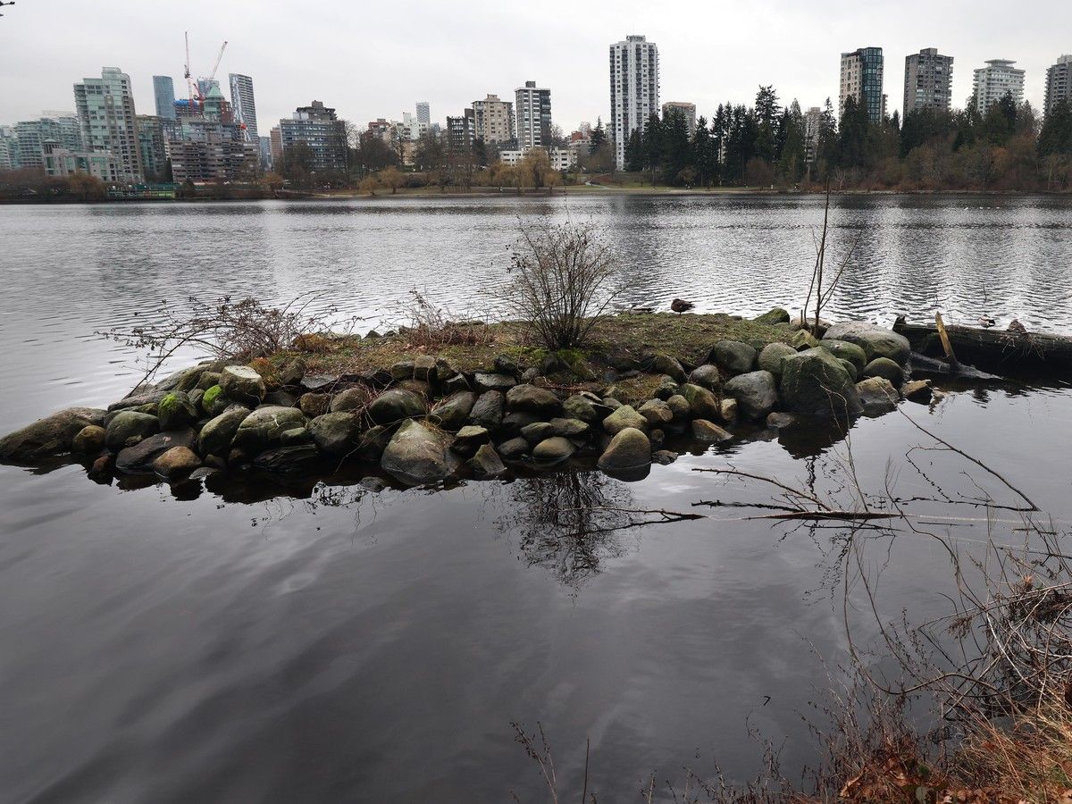 There are plans to return Vancouver's Lost Lagoon into the tidal flat it once was.