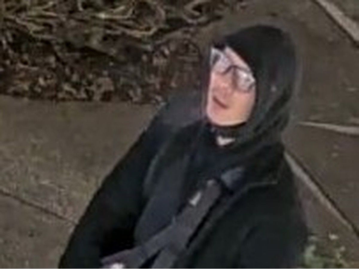 Burnaby RCMP want help identifying this person after a sexual assault of a woman in a Burnaby park in February.