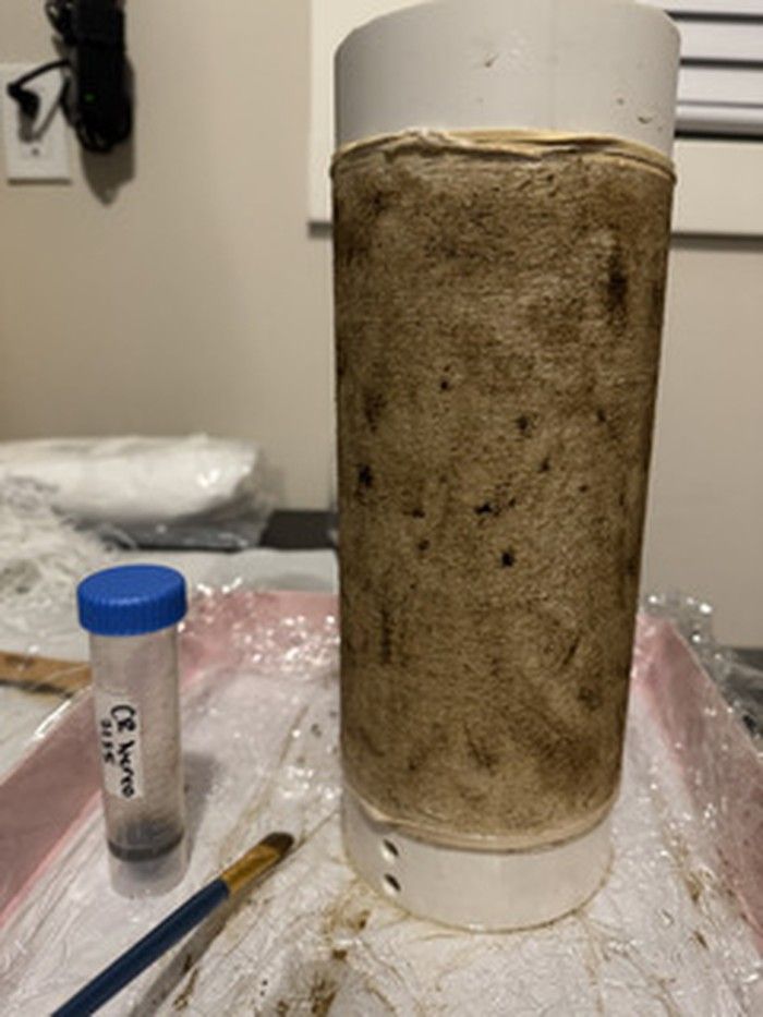  Li is helping restore kelp forests with North Island College in Campbell River using a BioSeedeX, a small-scale kelp nursery capable of cultivating kelp that can later be planted in the ocean.