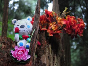 Memorial at park where a 13-year-old girl was murdered in Burnaby.